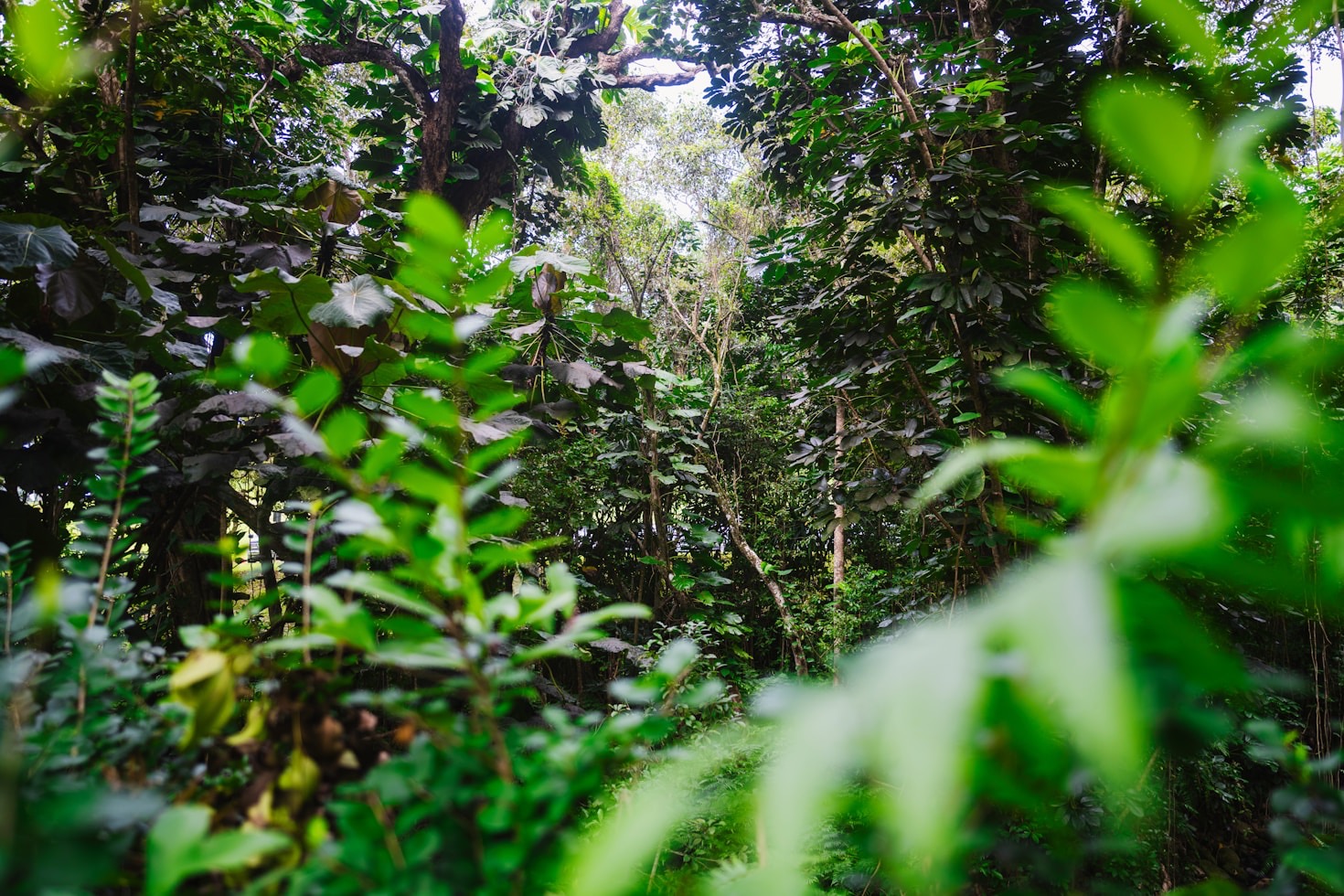 Exploring Job Opportunities in Hawaii